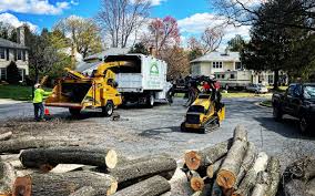 Best Seasonal Cleanup (Spring/Fall)  in Kurtistown, HI